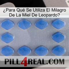 ¿Para Qué Se Utiliza El Milagro De La Miel De Leopardo 21